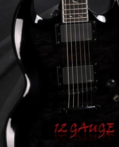 12 Gauge 
